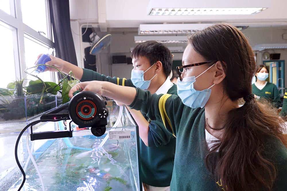 聖士提反堂中學<br/>疫境中穿梭水、陸、空多元化STEM活動 從零開始去建構一個理想的水族館絕對是一件艱鉅的任務