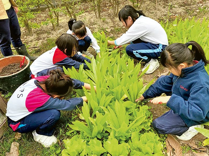 秀明小學 推廣童書教學 啟迪思維育情意