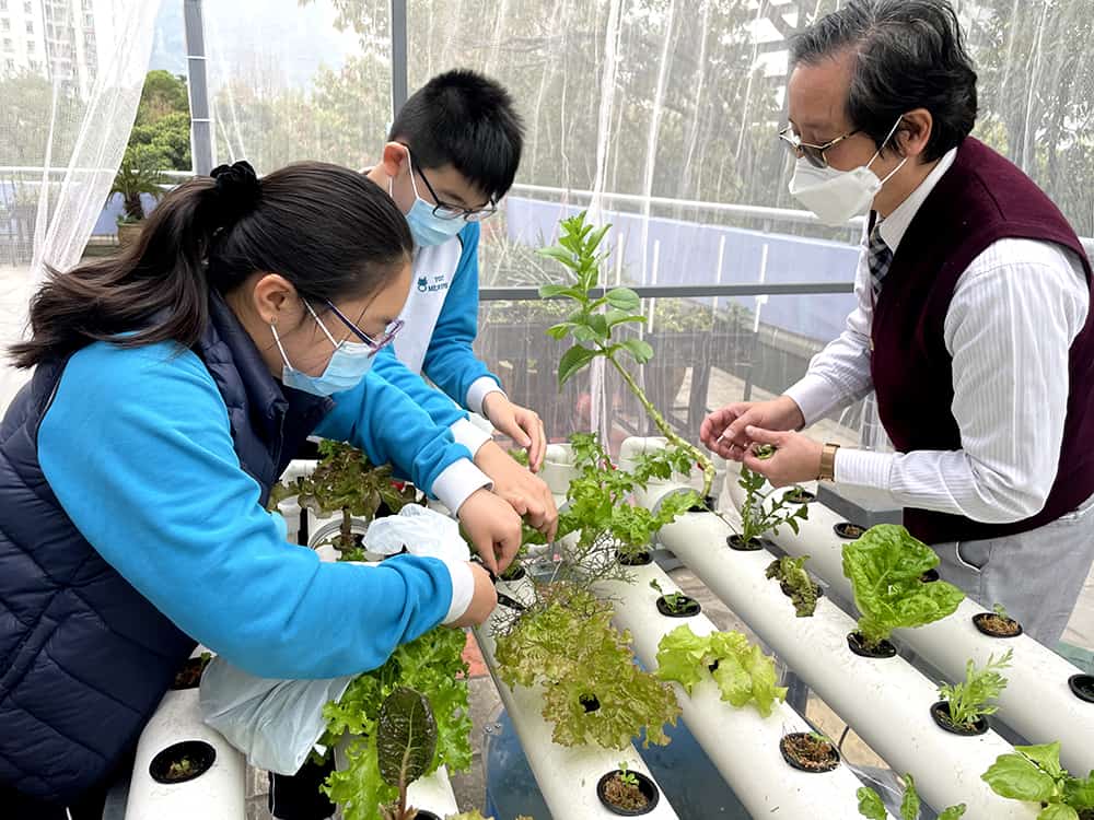 仁愛堂劉皇發夫人小學建生態園<br/>培養學生愛自然 愛環境的價值觀