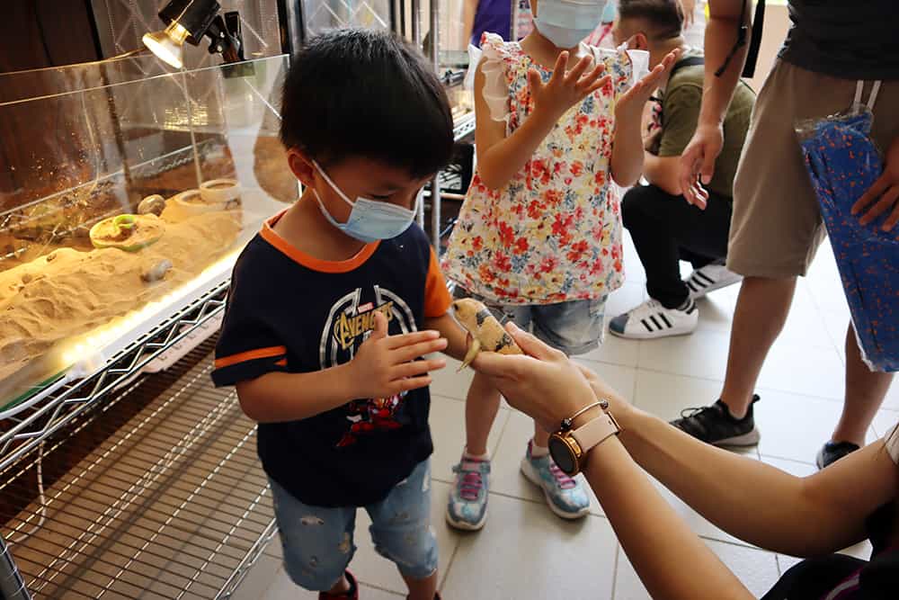 仁愛堂劉皇發夫人小學建生態園<br/>培養學生愛自然 愛環境的價值觀