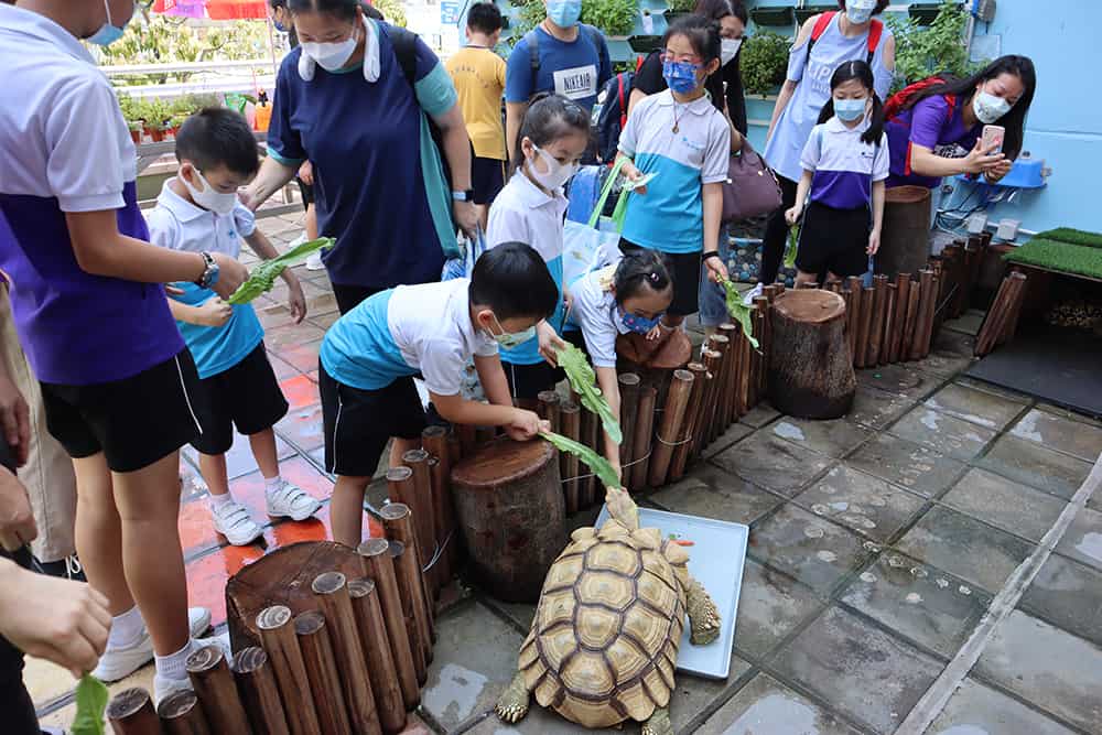 仁愛堂劉皇發夫人小學建生態園<br/>培養學生愛自然 愛環境的價值觀