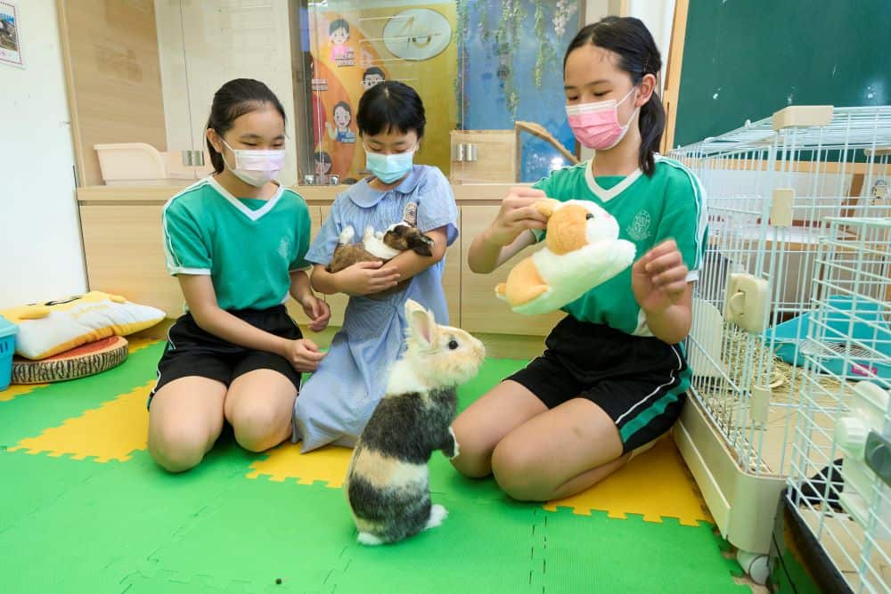 東華三院鄧肇堅小學<br/>以關愛愉快成就學生的未來 東華三院鄧肇堅小學<br/>以關愛愉快成就學生的未來