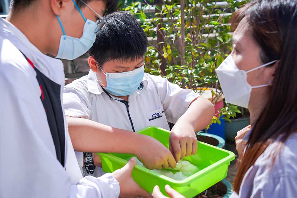 香港四邑商工總會陳南昌紀念中學 師生努力8載成功種出第五代土沉香 香港四邑商工總會陳南昌紀念中學 師生努力8載成功種出第五代土沉香