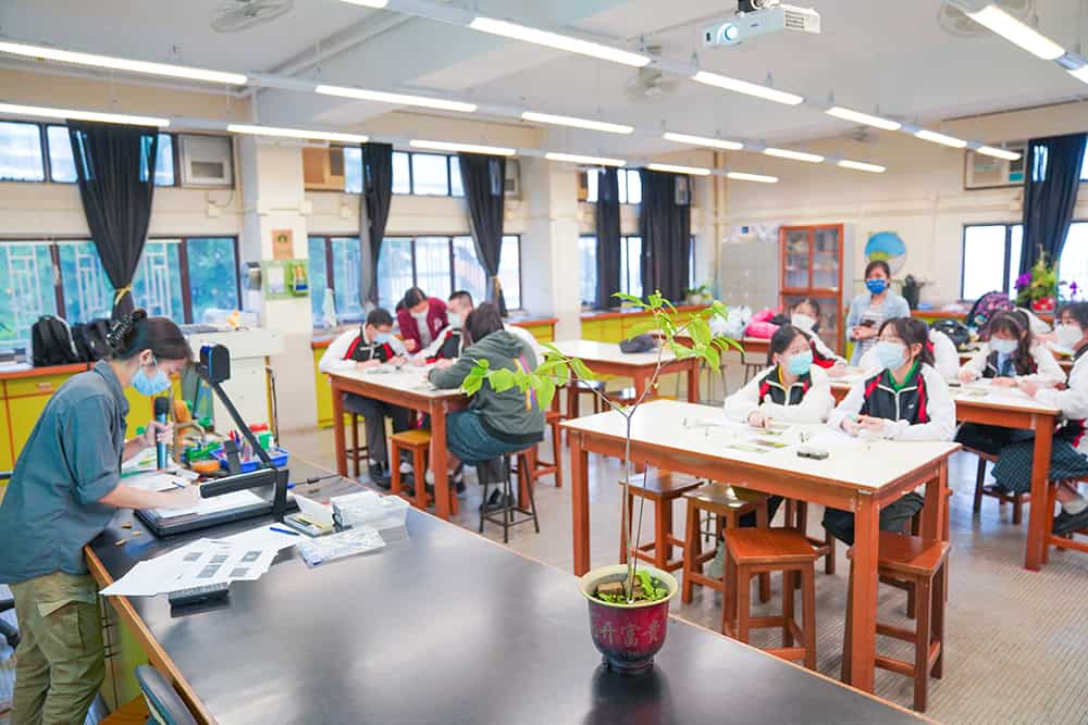 香港四邑商工總會陳南昌紀念中學 師生努力8載成功種出第五代土沉香 香港四邑商工總會陳南昌紀念中學 師生努力8載成功種出第五代土沉香