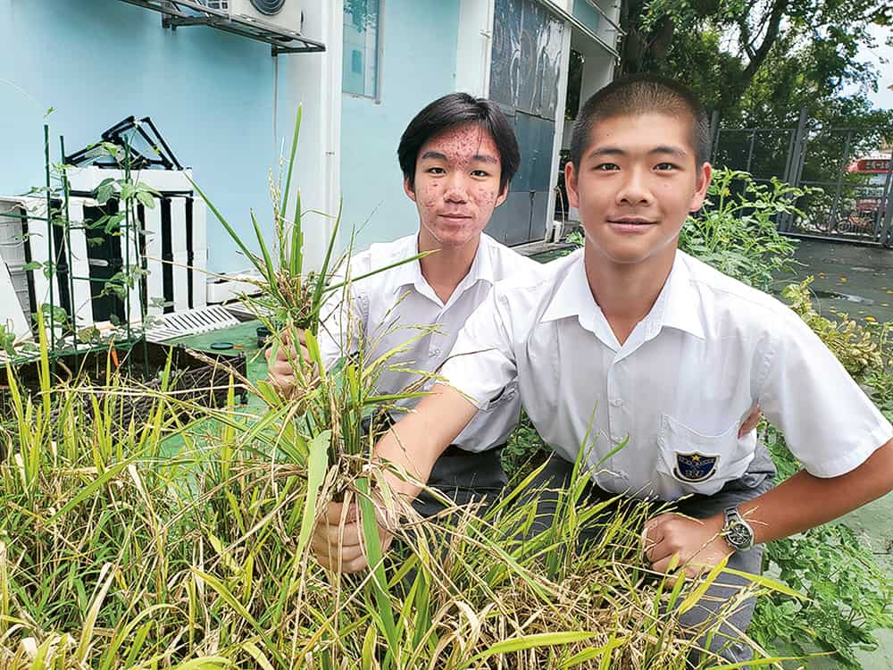 新界喇沙中學 全方位學習活動推行國家安全教育