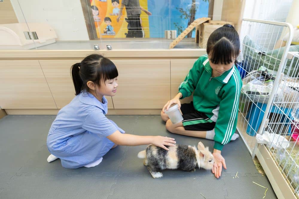 東華三院鄧肇堅小學<br/>學業與愉快並重 成就關愛共融校園 東華三院鄧肇堅小學<br/>學業與愉快並重 成就關愛共融校園