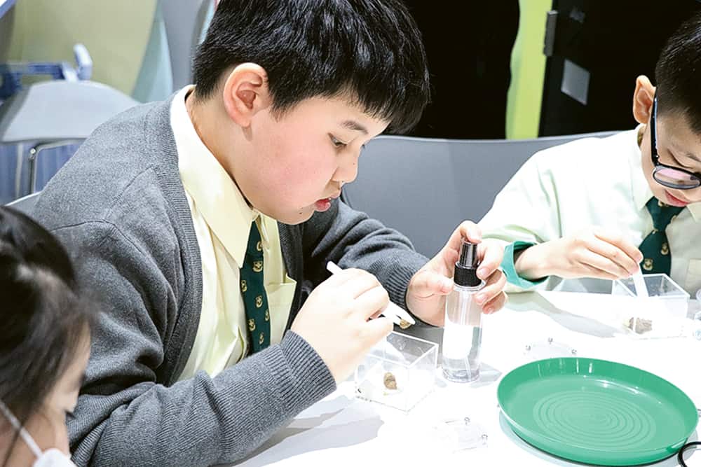 寶血小學 為師生創造空間 培育「愛學、能學、活學」素質