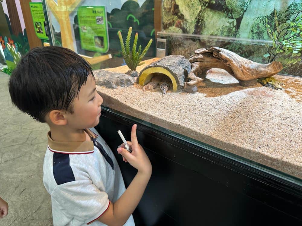 五邑鄒振猷學校<br/>從體驗式學習中反思人生 探索生命價值
