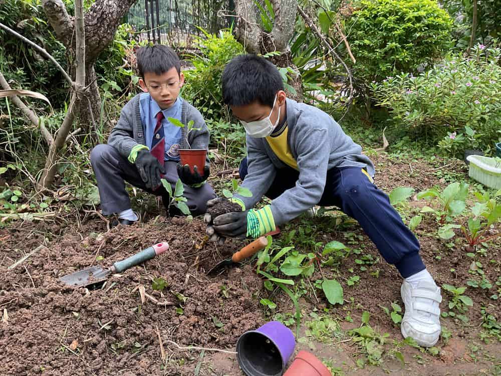 東華三院李東海小學<br/>探究機會遍校園 以幸福感推動持續學習 東華三院李東海小學<br/>探究機會遍校園 以幸福感推動持續學習