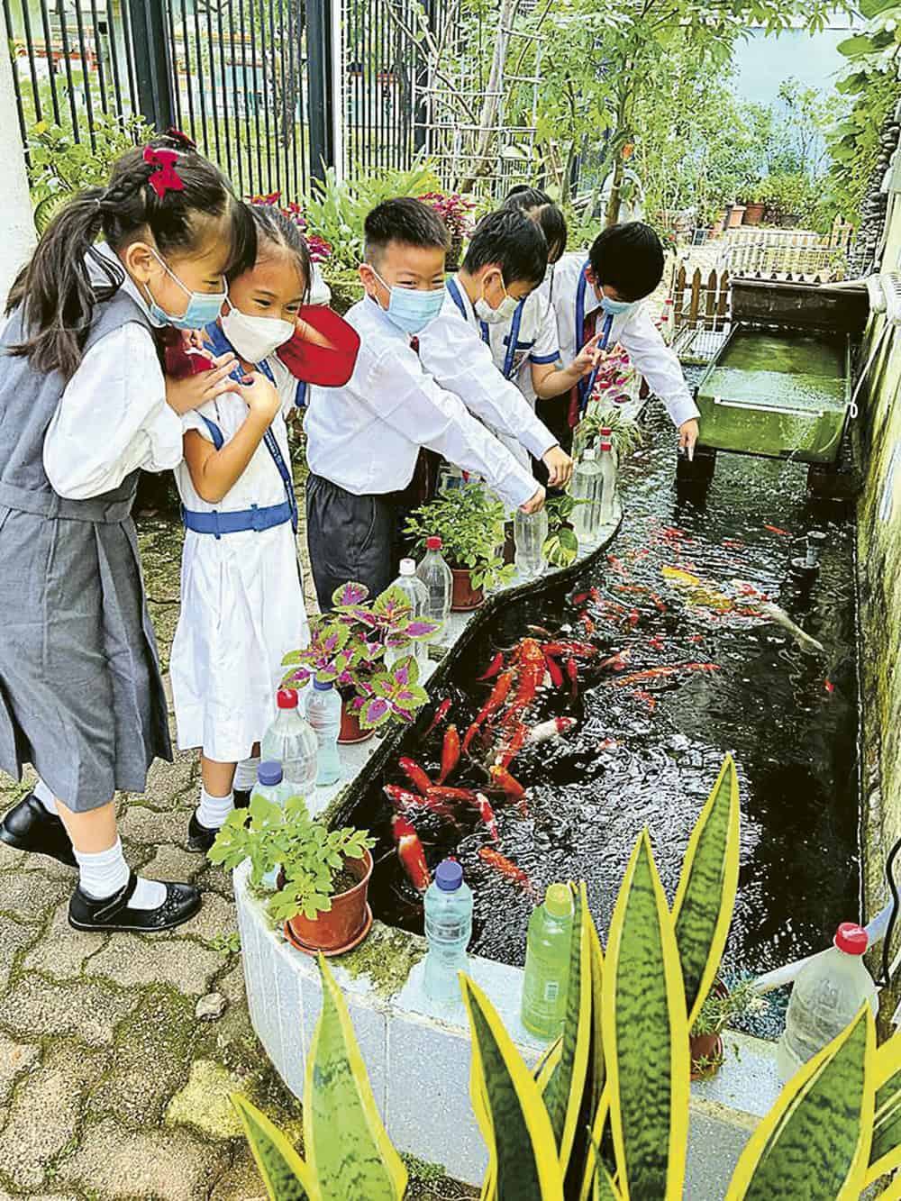 仁濟醫院羅陳楚思小學<br/>重視生命教育 助孩子規劃未來人生路 校園內設有生態學習園,讓學生學習飼養動物、種植蔬果,從中思考生命意義。