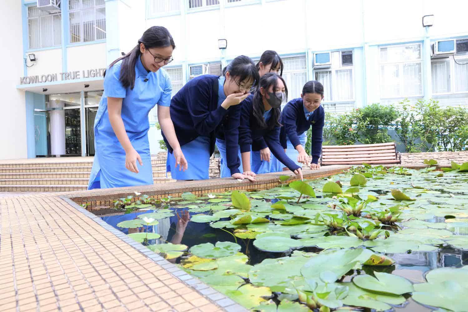「小鵪鶉」點石成金的蛻變 內地生:香港教育令人眼前一亮 「小鵪鶉」點石成金的蛻變 內地生:香港教育令人眼前一亮