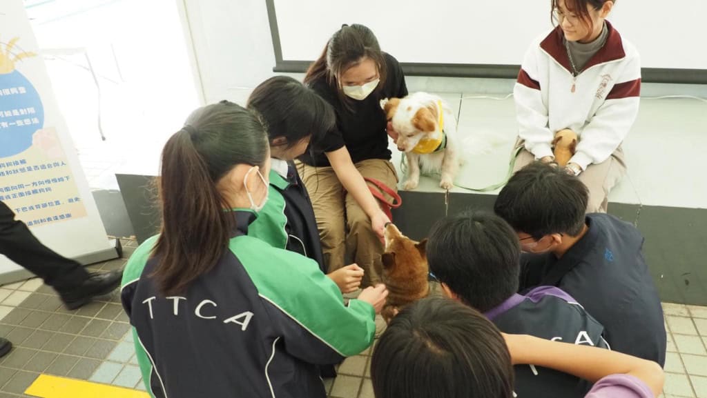 基督教崇真中學辦體驗活動<br>讓學生認識寵物護理及動物輔助治療行業